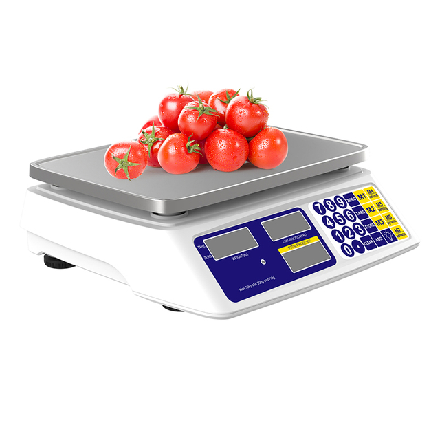 ACS-15 15kg Precision Electronic Price Computing Scale